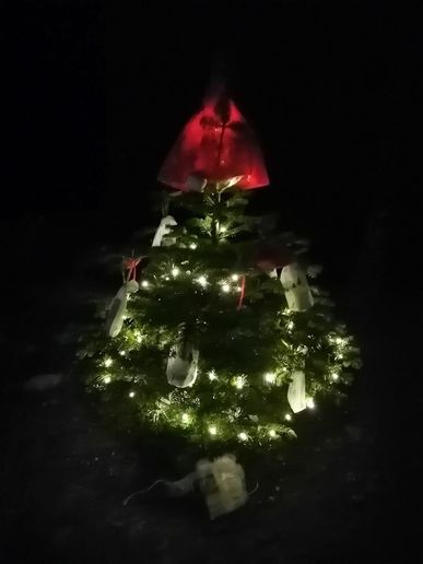 Wichtelbaum bei Nacht