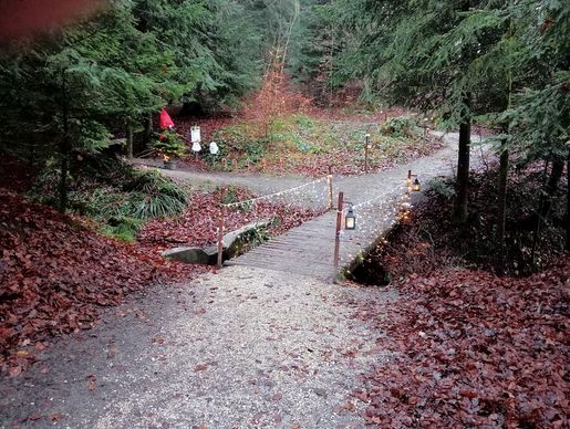 Brücke und Wichtelbaum